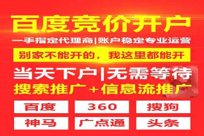 百度竞价代理实战技巧：经典案例深度解读